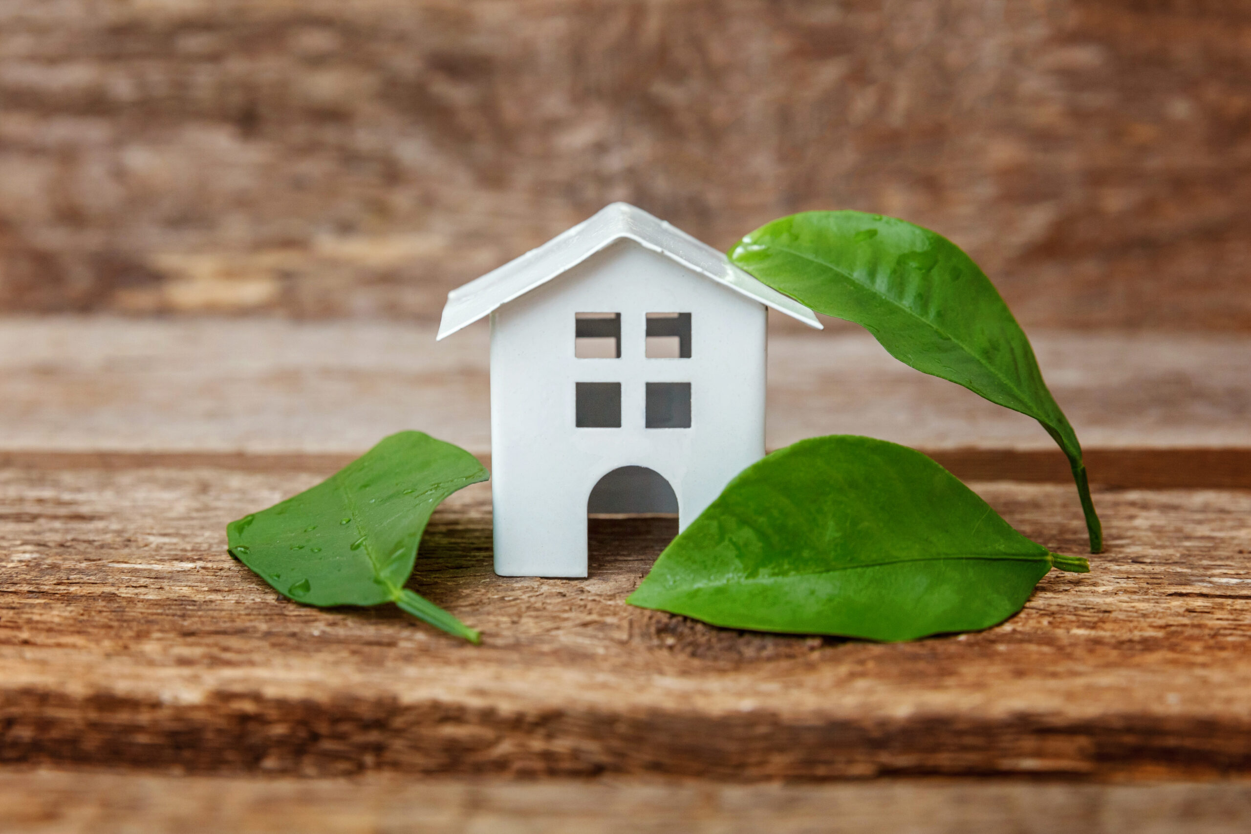 Rénovation énergétique et écologique, l’enjeu immobilier de l’année 2025